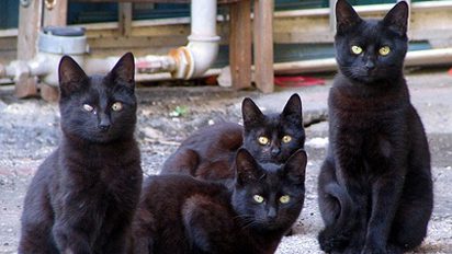 A primeira sexta-feira 13 do ano 13.01