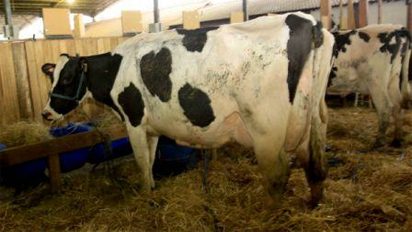 Fenasul começa com baixa expectativa de vendas por causa da estiagem fenasul