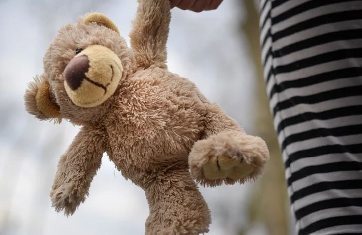 Menina de 10 anos estuprada pelo tio tem gravidez interrompida urso