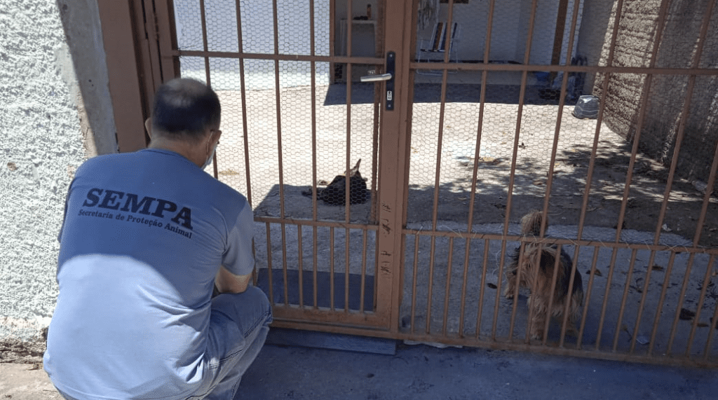 Mulher é presa por maus-tratos à animais saoleopoldo