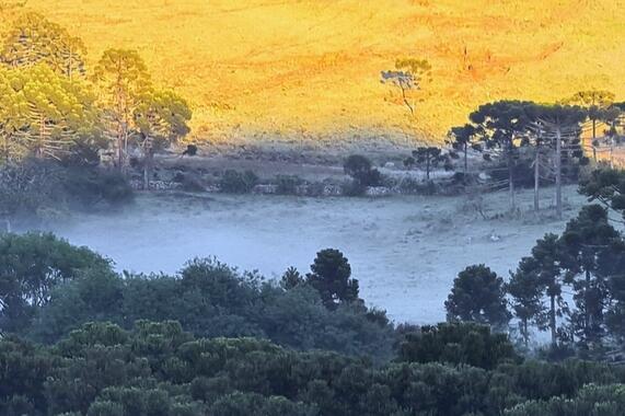 Dezembro começa frio e com geada na Serra Catarinense clima
