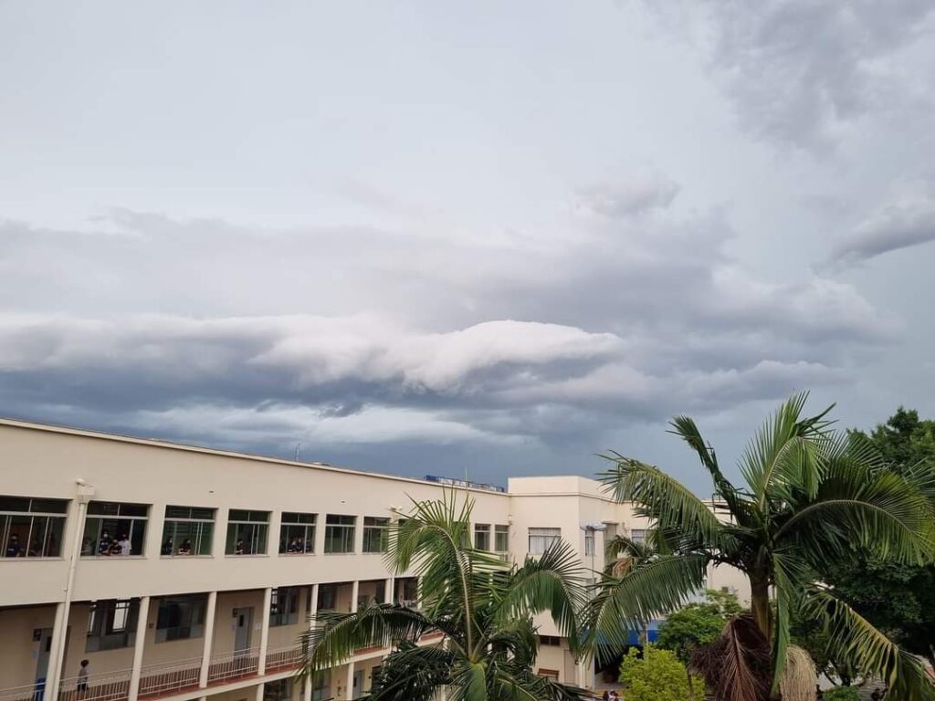 FB IMG 1648599063896