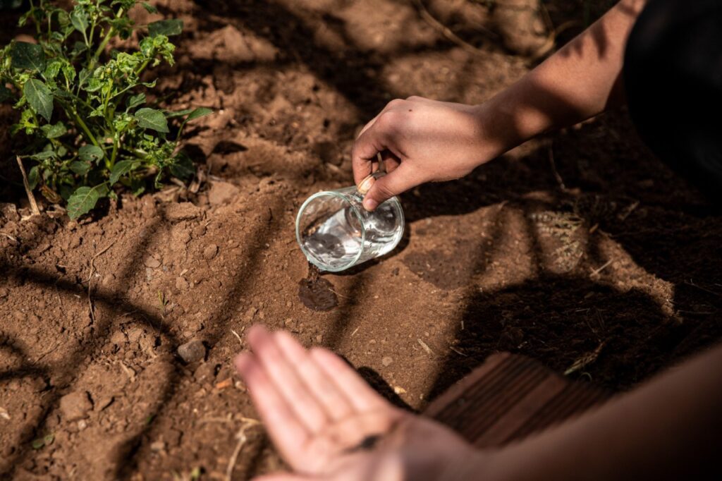 c1db28c2 6635 4674 96ef 0462858485e6