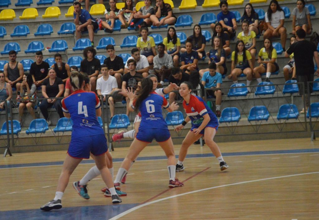 Campo Bom Vale do Sinos Org Handebol1