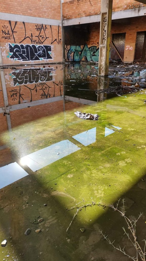 UPAS e hospitais de NH ficam lotados pela dengue: enquanto isso, para alguns, o cuidado é zero DENG8E