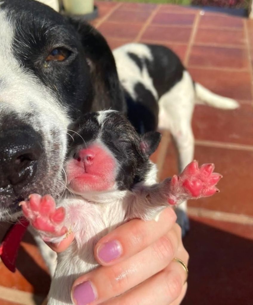 Screenshot 20220423 160703 Samsung Internet