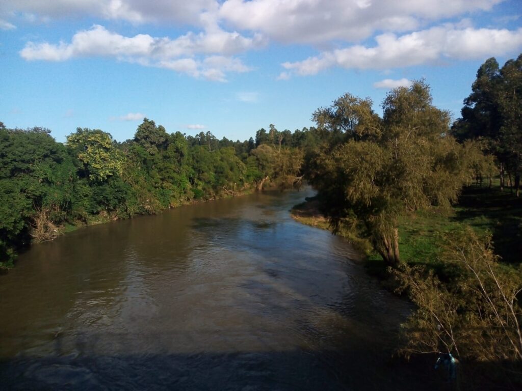 Boa notícia: Rio dos Sinos tem baixa no nível de poluição considerada histórica Rio dos Sinos2 credito Denise da Silva Felippe