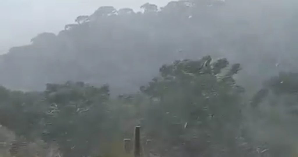 Neva pela primeira vez em 2022 no Rio Grande do Sul: São José dos Ausentes Screenshot 20220517 155151 Gallery 1