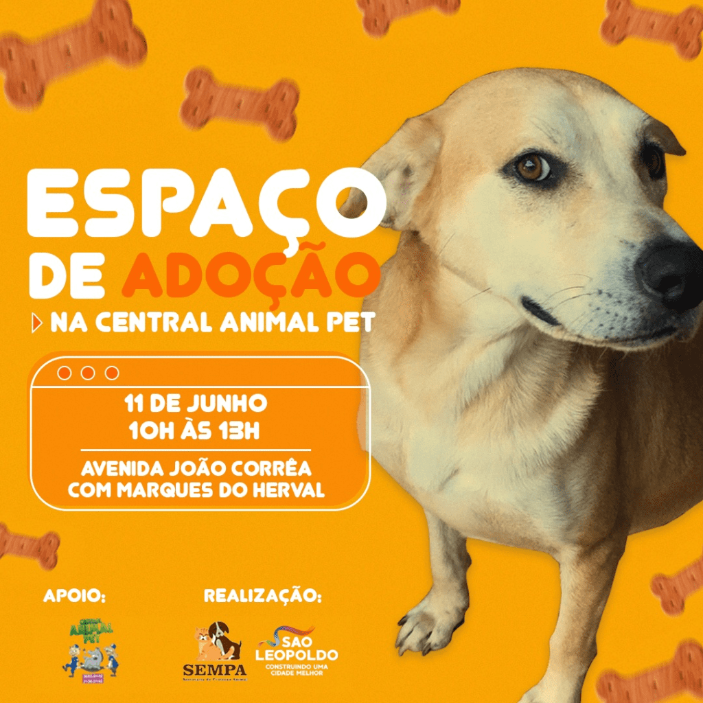 São Leopoldo: Sempa promove Espaço de Adoção de cães e gatos Sempa