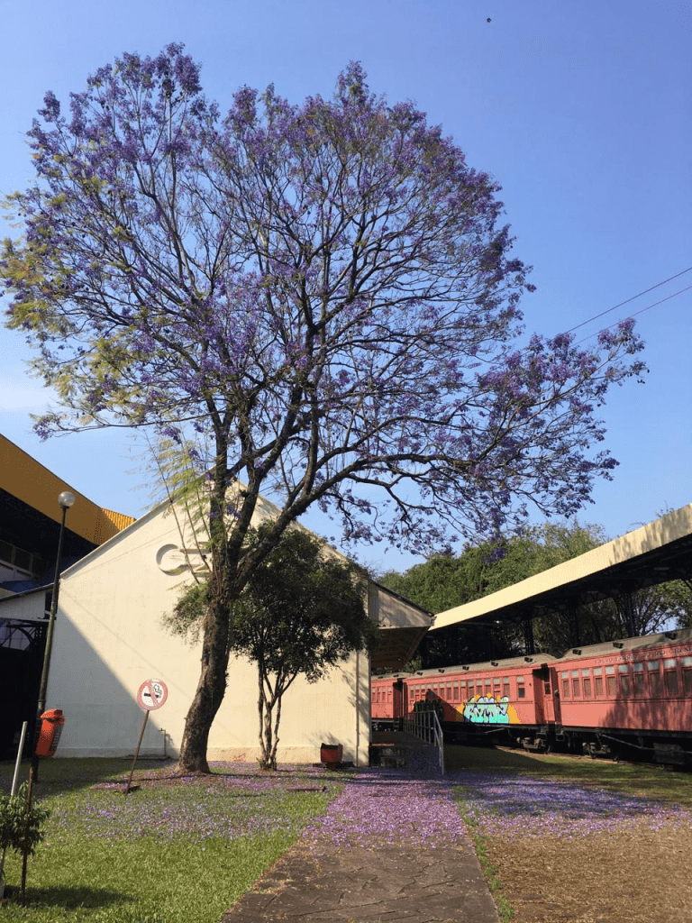Museu do Trem de São Leopoldo realiza o 6° Curso de Outono: Encontros de formação continuada museu do trem