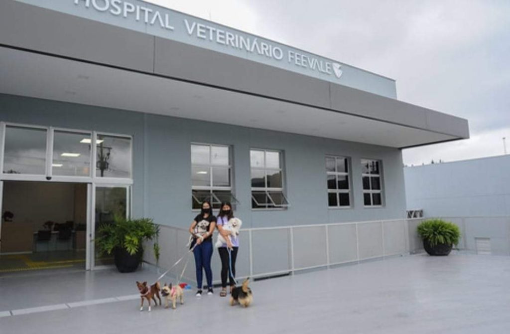 FB IMG 1654818754481 1