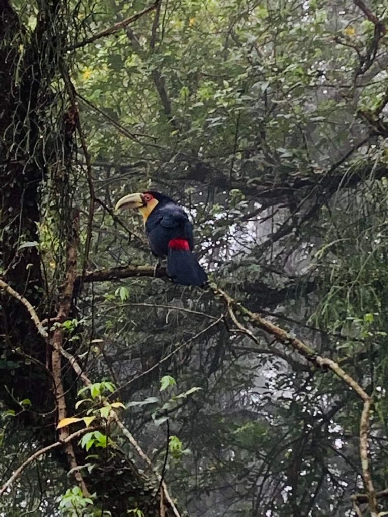 FB IMG 1657724246079