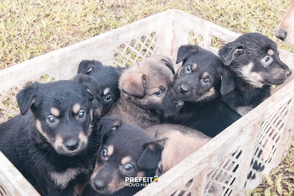 FB IMG 1658432370796