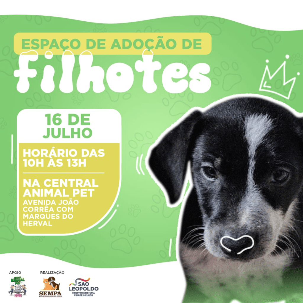 São Leopoldo: Sempa promove Espaço de Adoção de cães filhotes e também a 1º Parapet Sempa