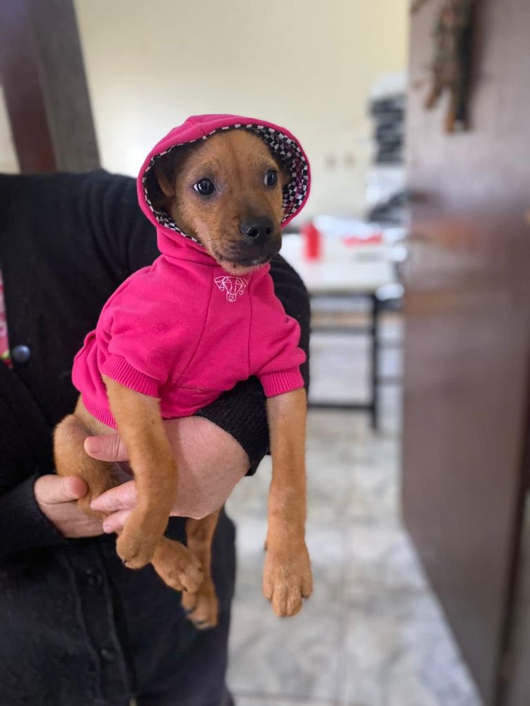 300005826 378569867785674 8655747187406441747 n