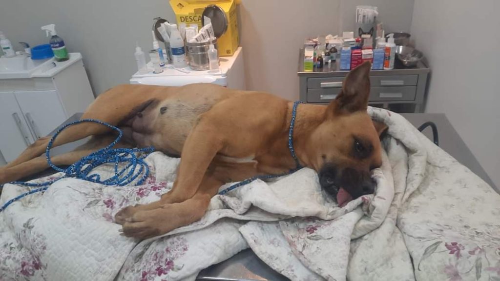 FB IMG 1661869174176