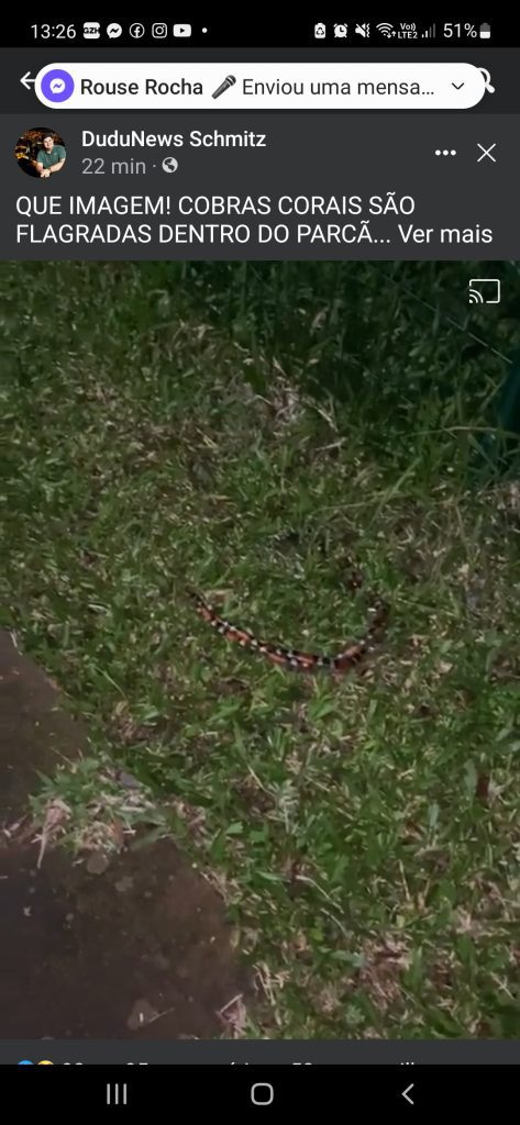 Screenshot 20220818 132659 Facebook