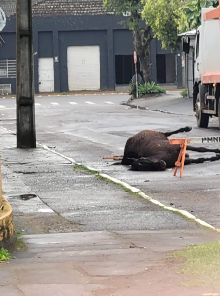 received 1147222415826483