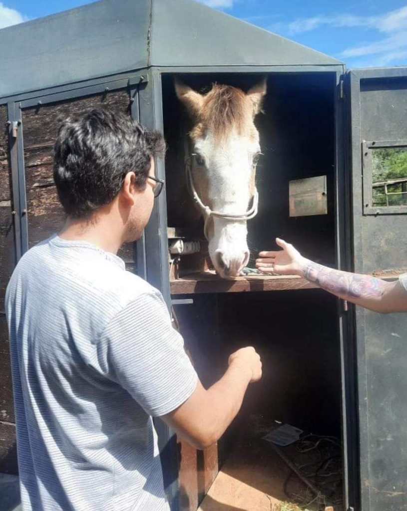 Espetacular! Família que teve carro destruído após cavalo cair em cima resgata e adota animal FB IMG 1664543092882