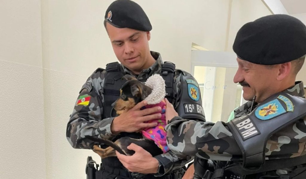 Heróis: policiais do Vale que salvaram cachorra enterrada viva a adotam Screenshot 20220914 220136 Jornal NH