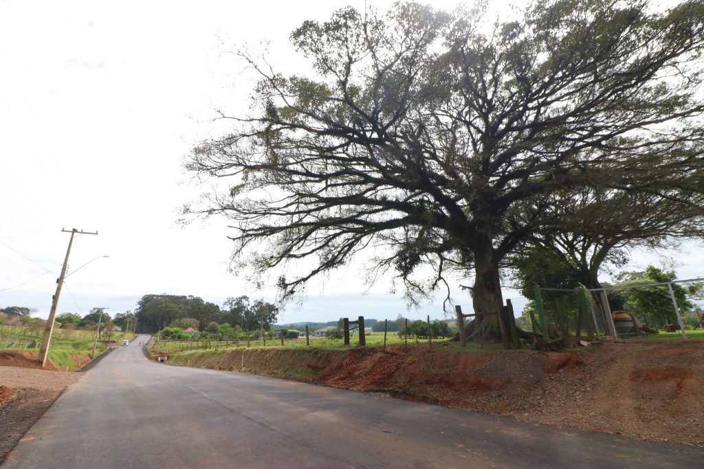 311595438 524821209653196 5370815996525401626 n