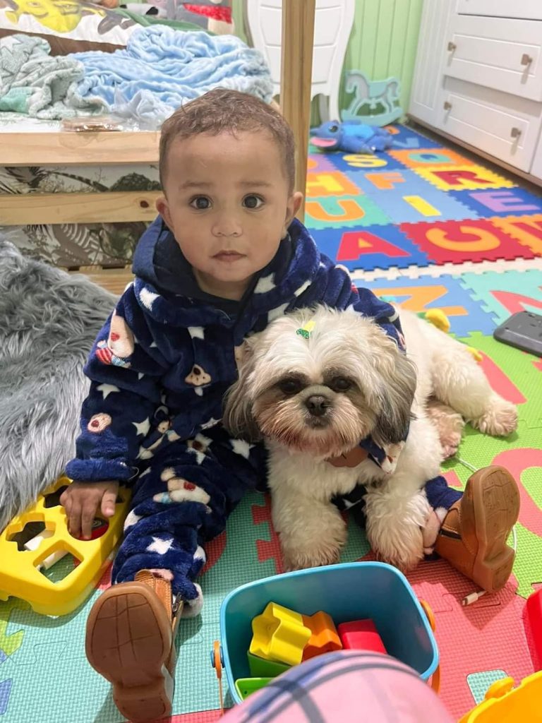 Cachorro de criança hamburguense foge e mãe clama por ajuda para achá-lo FB IMG 1665933176685 1
