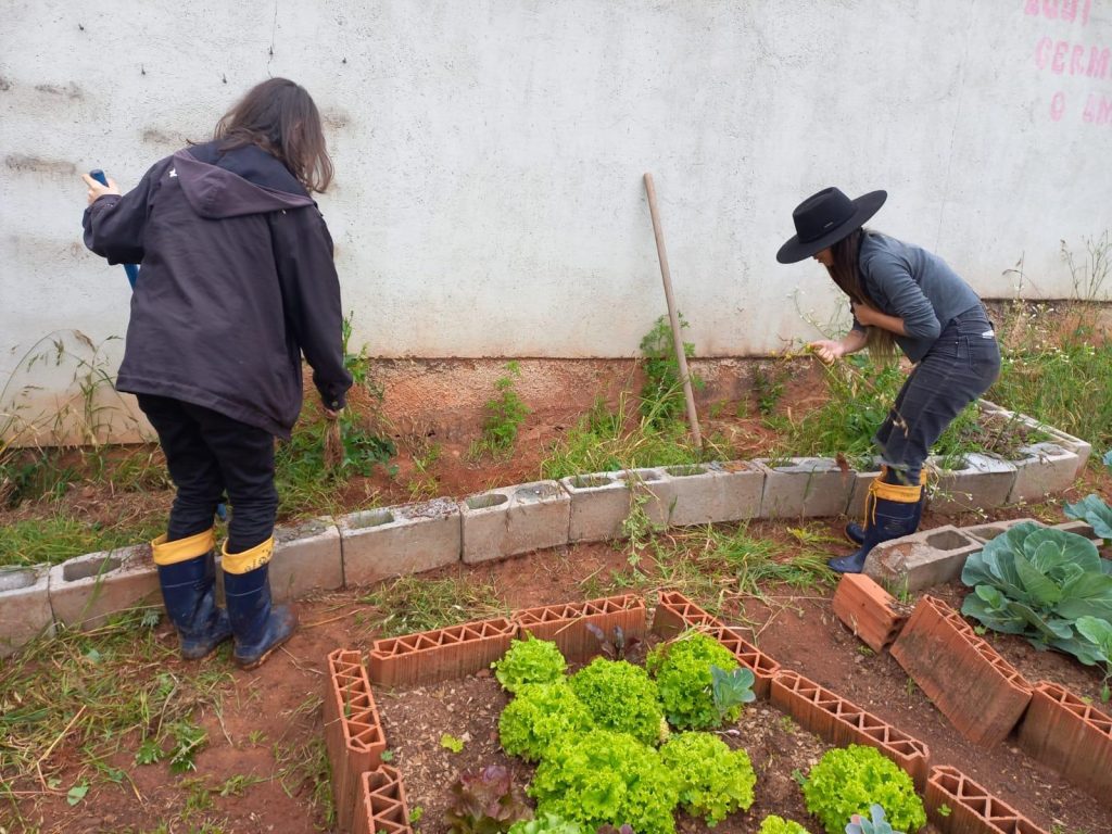 Estudantes revitalizam hortas em escolas de São Leopoldo Hortas
