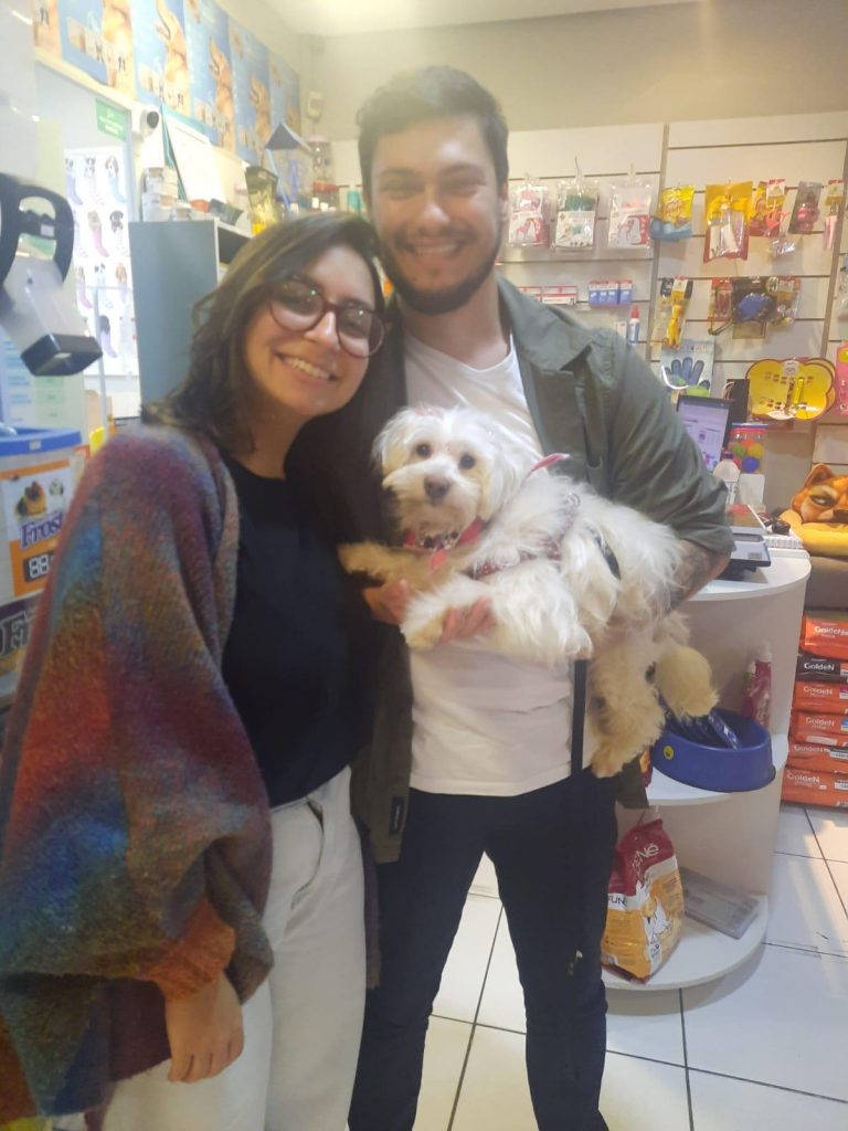 Cachorra resgatada após ser atropelada recebe novo lar em São Leopoldo Resgate