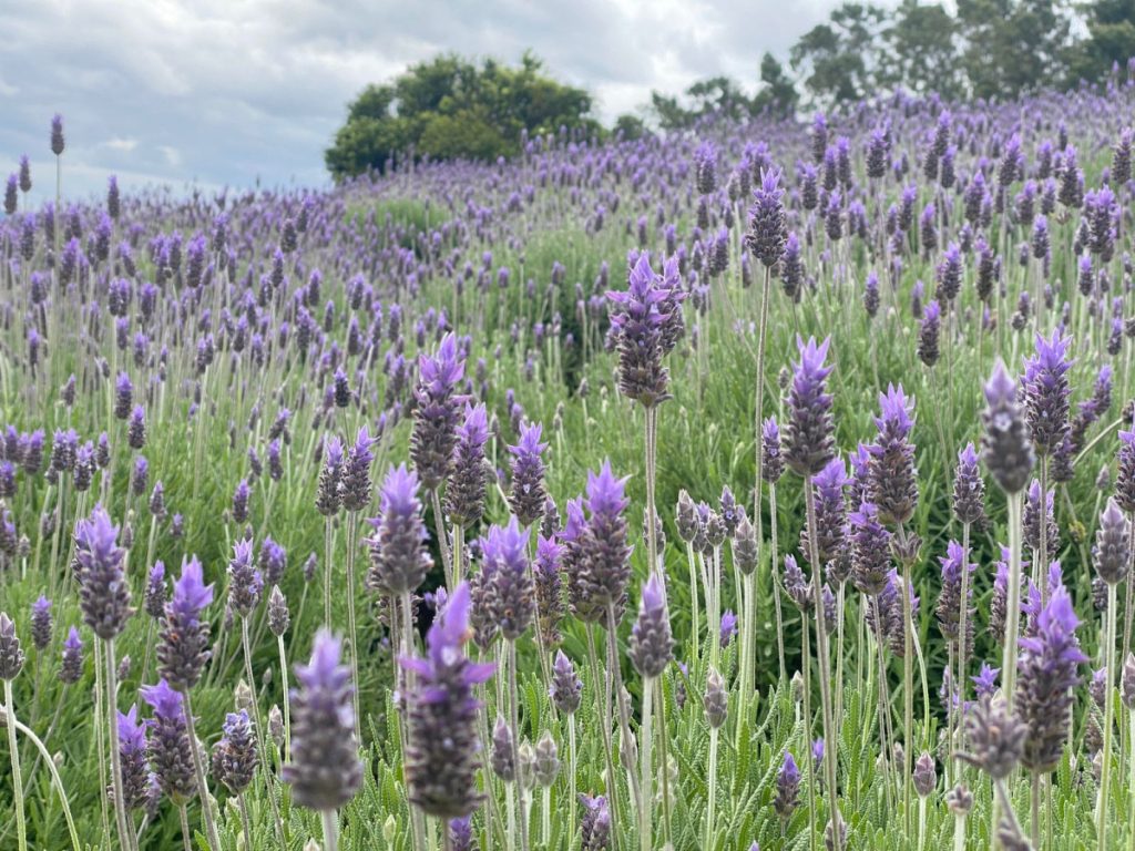 oficinas ocorrem sem a necessidade de inscricao antecipada1666015401