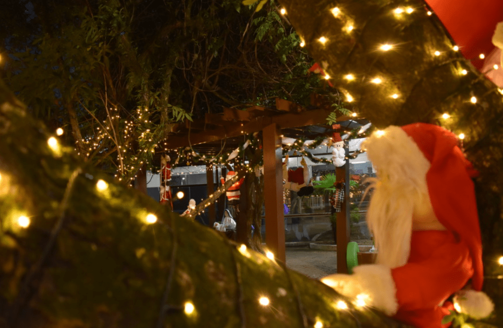 Natal praca sapiranga