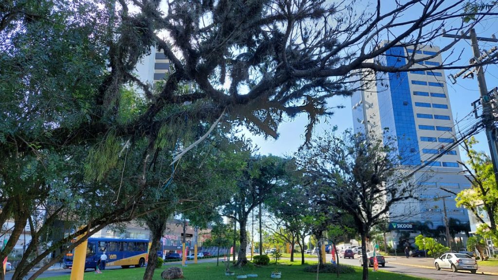 Natal da Rótula do Rio Branco abre neste sábado, 3 WhatsApp Image 2022 11 29 at 15.22.43