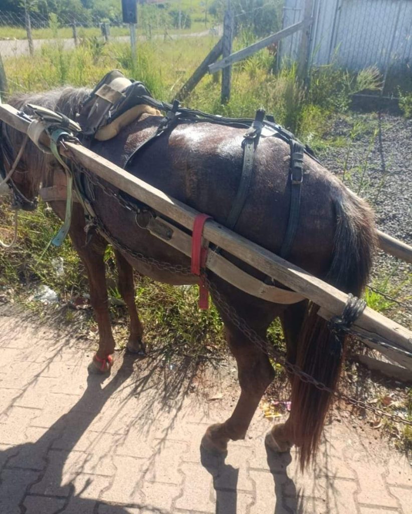 FB IMG 1672329283689