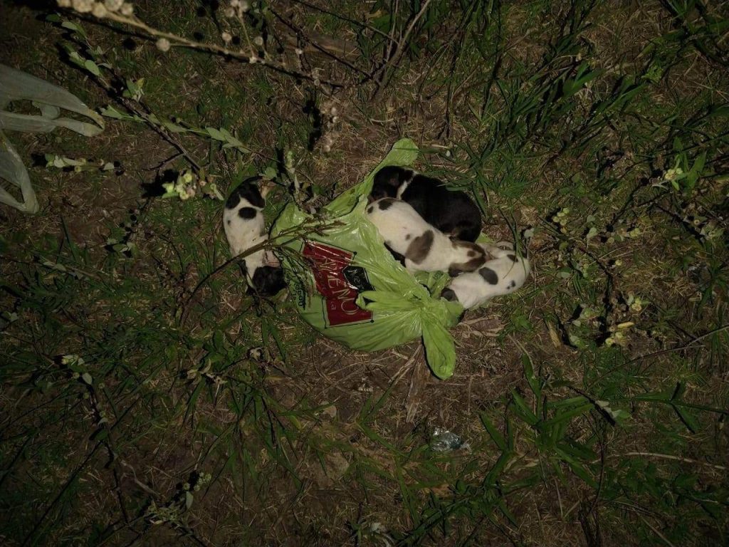 received 1362868071134314