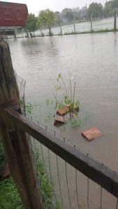 received 3386902128251501