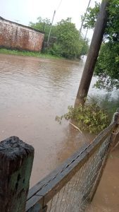 received 539862011320949