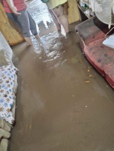 Impressionante: com água no peito, homem salva cachorro em meio a enchente em NH 1 received 660485855791708