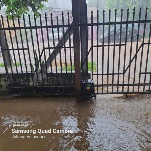 received 667541798147532