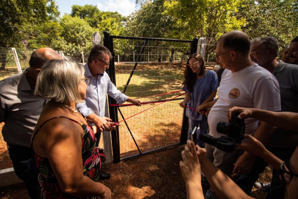 Cães do canil municipal de São Leopoldo ganham espaço de soltura Canil Municipal