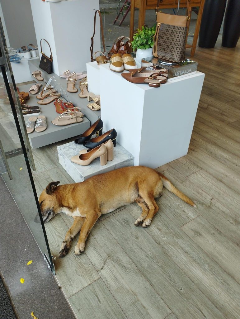 D996D8A1 A8DA 4DAC A741 6569FB46C0EF