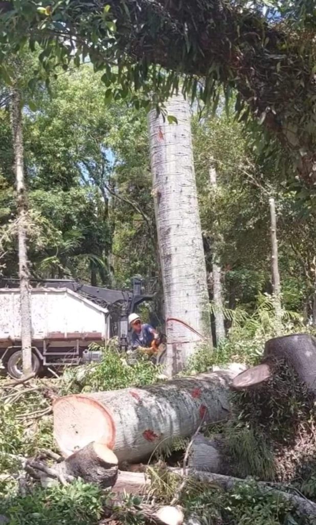 FB IMG 1672849958005