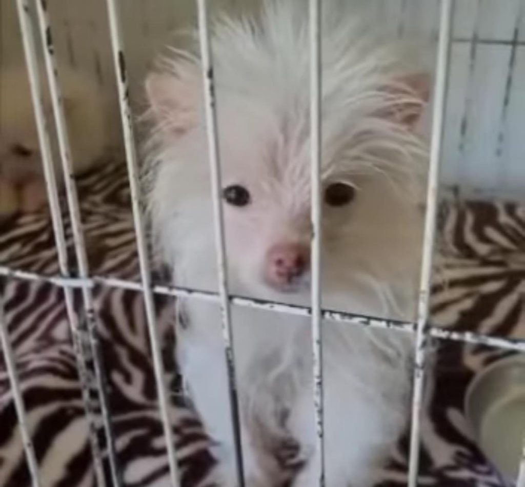 3431BC22 EA38 419D 8838 80ECC02EE30C