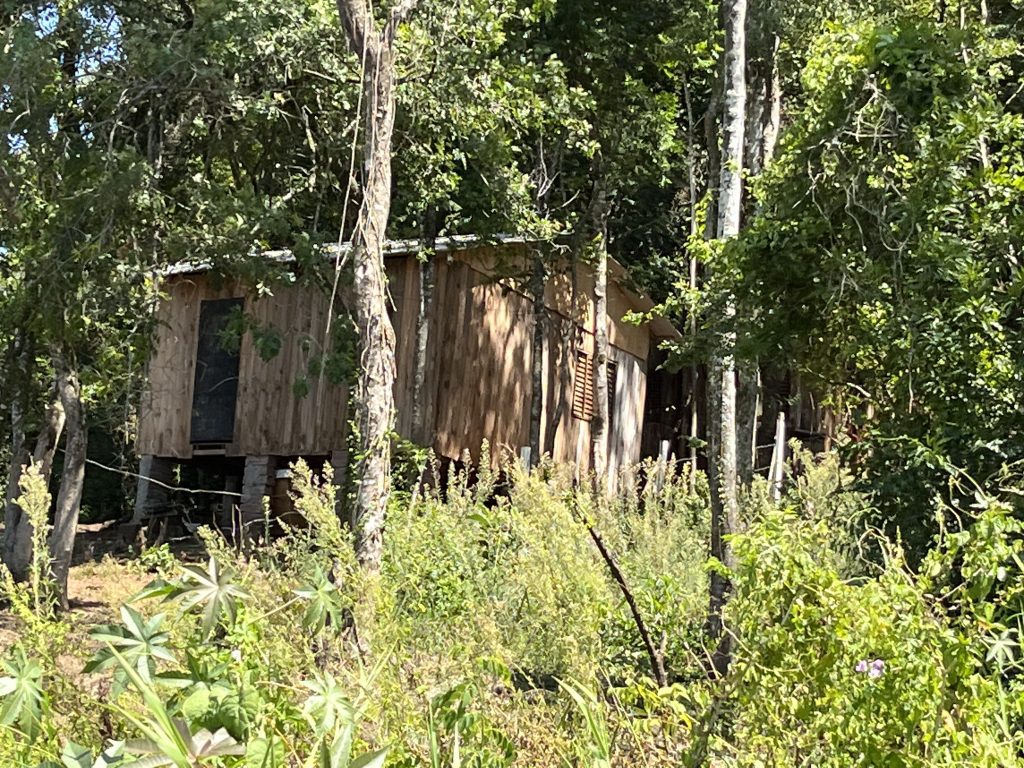 3794FA31 AD8F 44B9 9B70 AB6A3E3C23E3