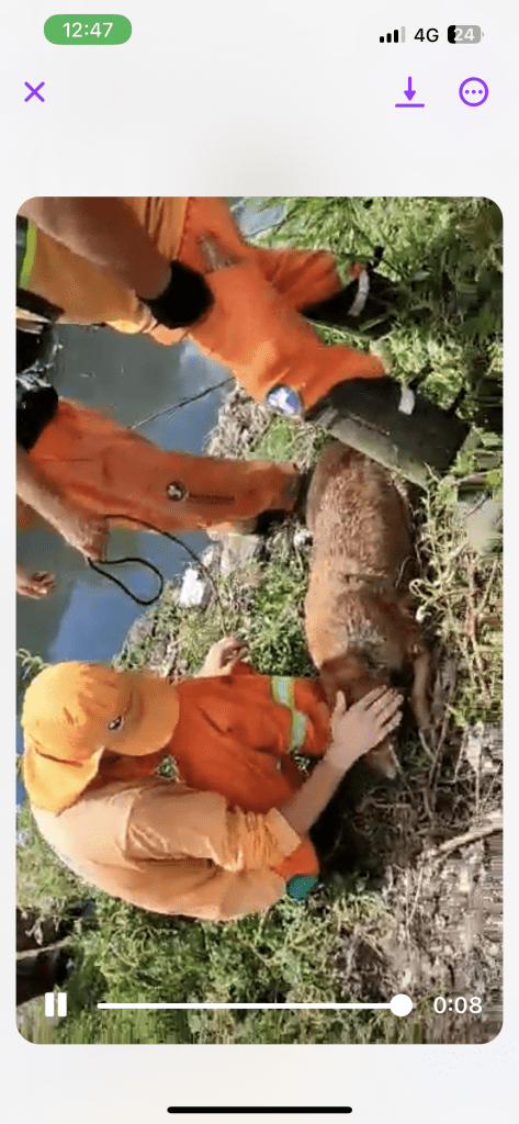 807D398B 8701 47D6 9983 3CB5C114EC24