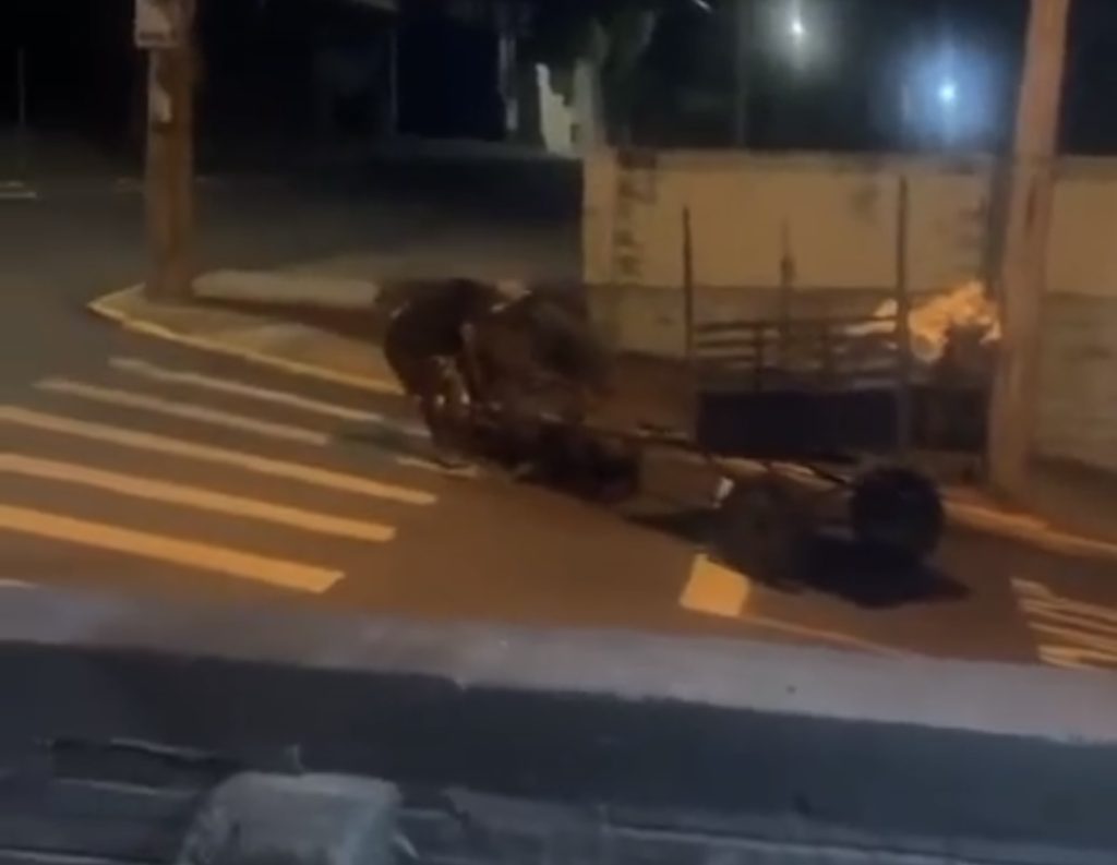 8F0BBB45 BFB2 4F5C 890D 3E8B24343383