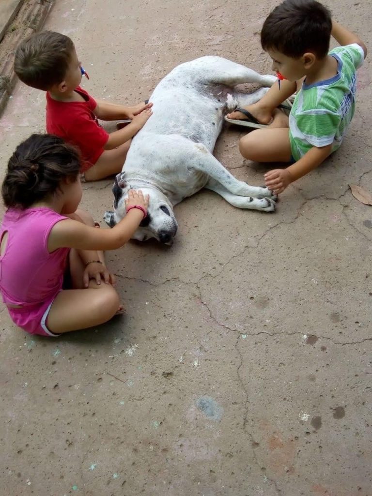 A69C7155 B8DE 4F93 89C1 1800F010127D