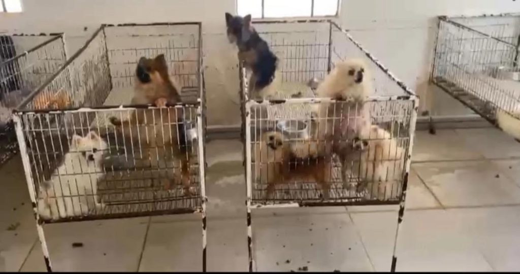 D6A32EF5 9E7D 4478 99C9 ADE00B03D1B4