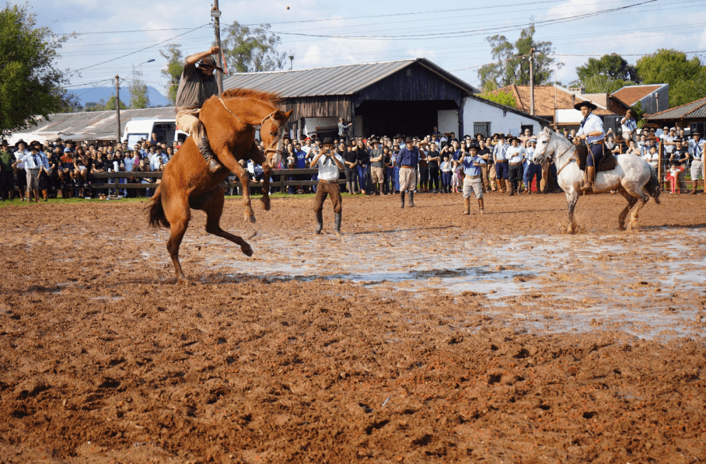 Vem aí o 43º Rodeio Nacional de Campo Bom Rodeio