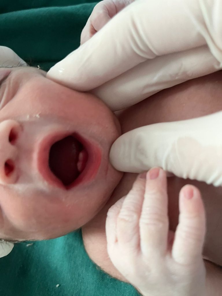 E95141A3 8EAE 47CF B14B 568249A012E1