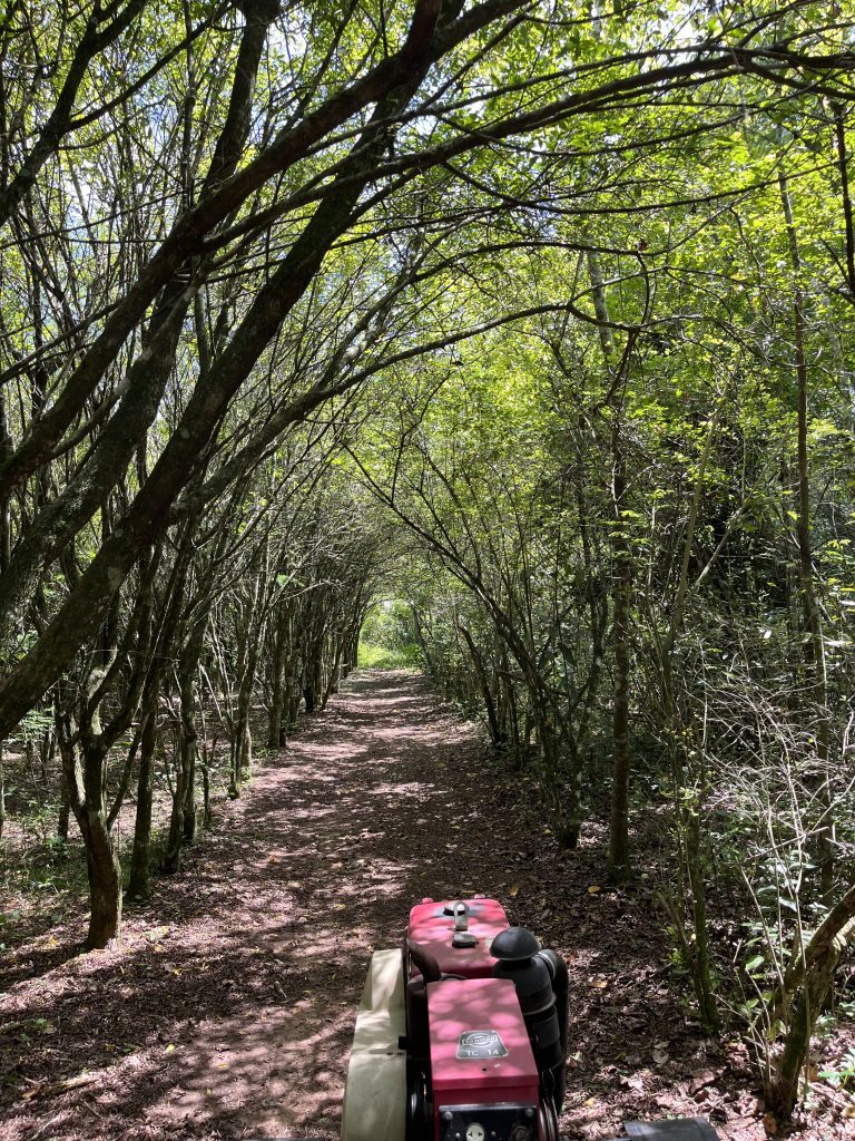 FB935CA3 D502 4403 9CE7 12610E261ADA