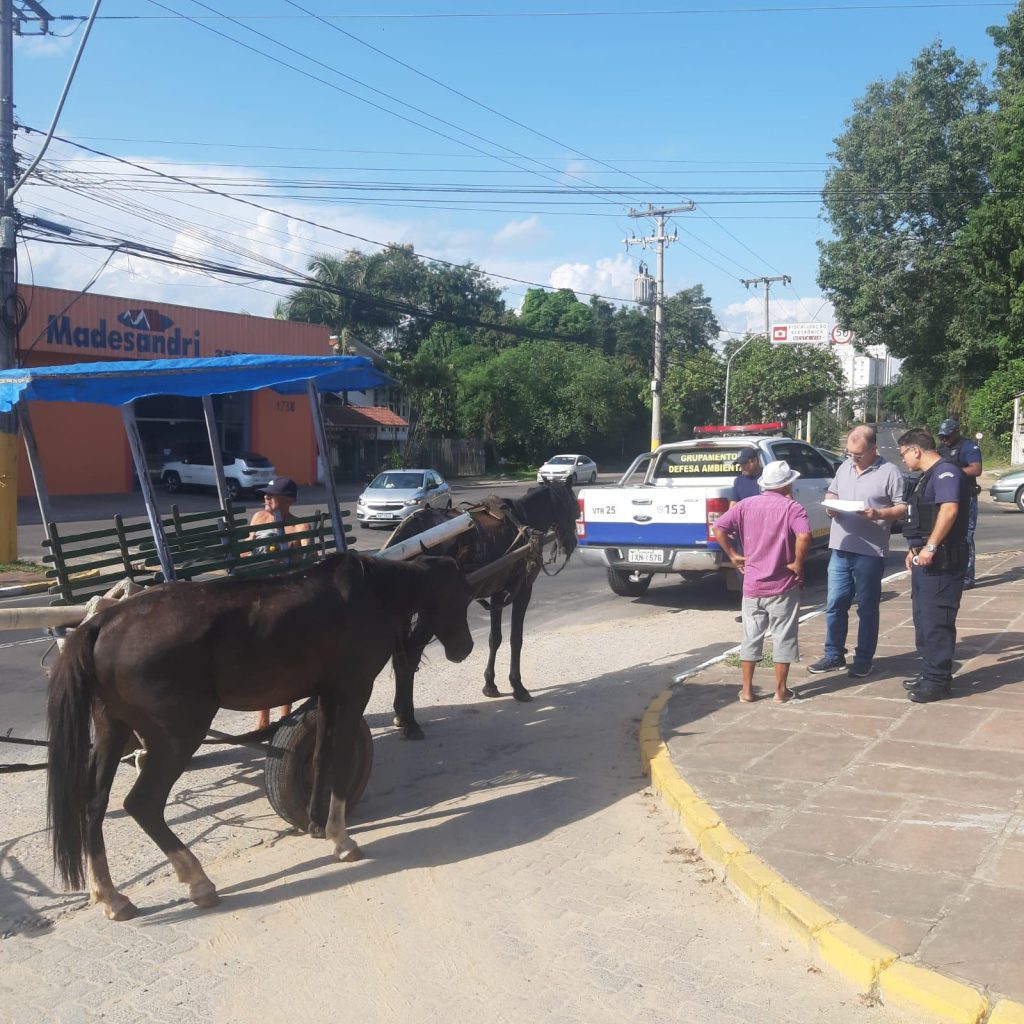 GDA resgata cavalos vítimas de maus-tratos em São Leopoldo maus tratos